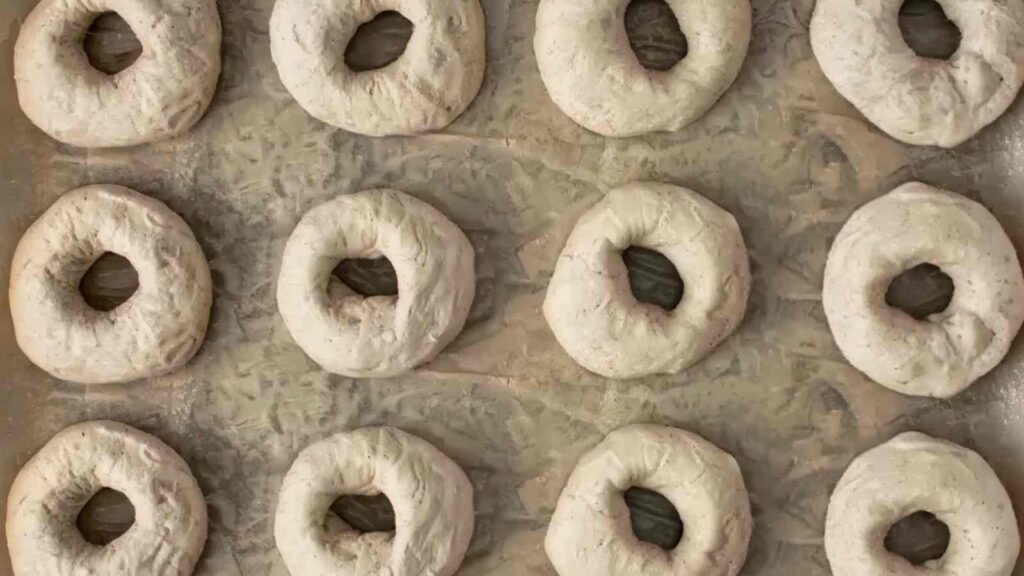Twelve unboiled, shaped bagels on a floured parchment-lined baking sheet, ready for the next step in the recipe.