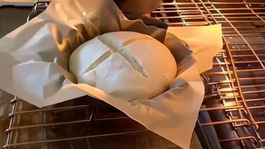 Bolted Flour Bread Ready to Bake