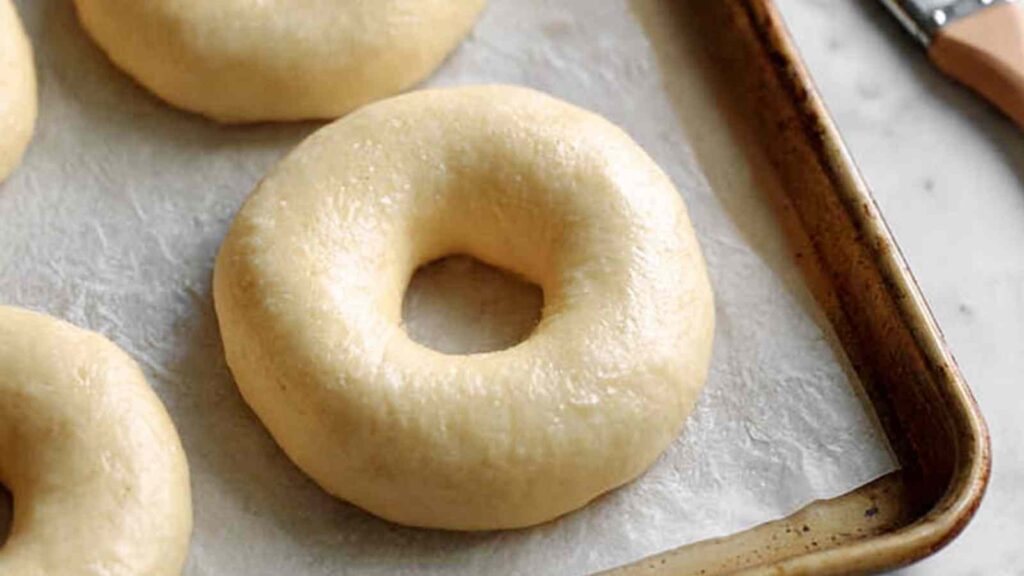 Raw, shaped gluten free bagels on parchment-lined tray before boiling, smooth and ready for the water bath