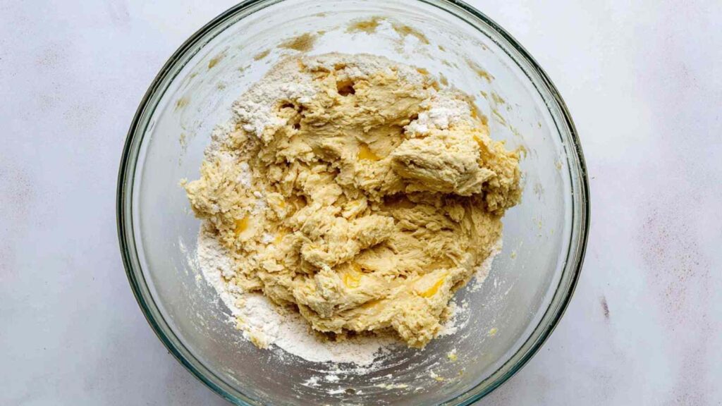 Rough Onion Bagel Dough Mix
