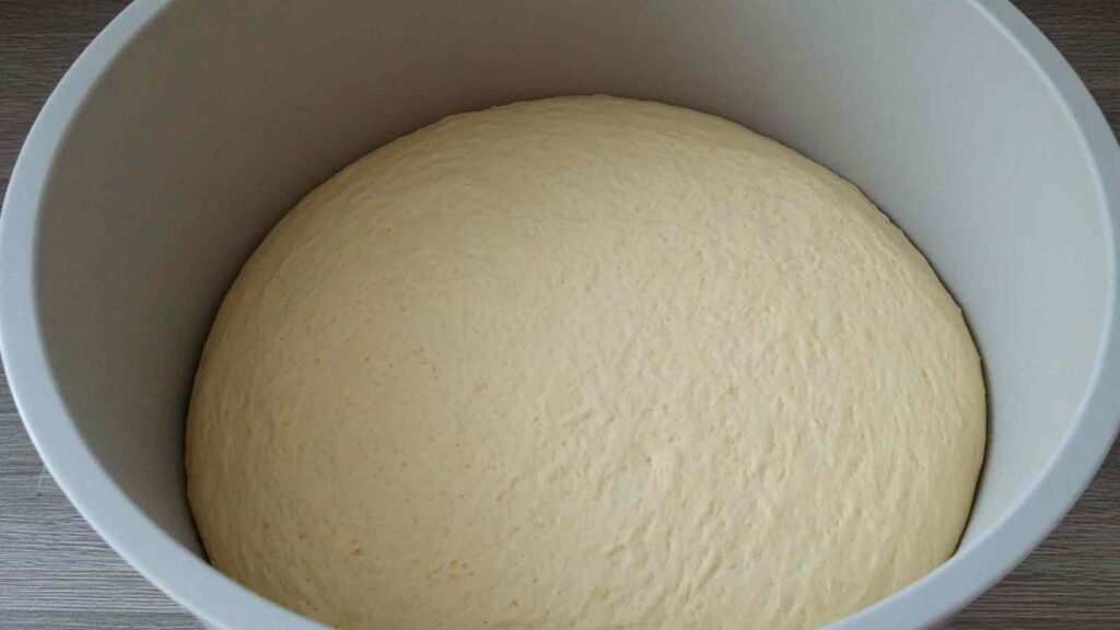 zaatar bagels dough rising bowl