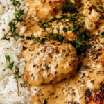 Creamy smothered chicken and rice on a white plate with parsley garnish