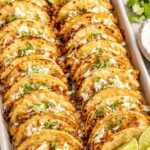 Mini baked chicken tacos on a baking sheet fresh from the oven, golden and crispy with melted colby jack cheese