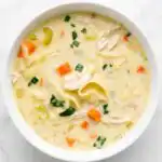 A bowl of creamy chicken noodle soup with shredded chicken, egg noodles, diced carrots, and fresh parsley garnish